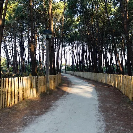 The Spot Surfcamp ビスカロッス