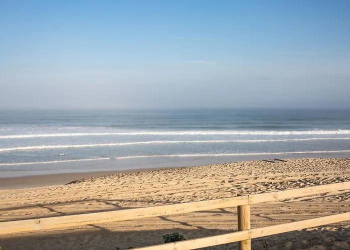 The Spot Surfcamp