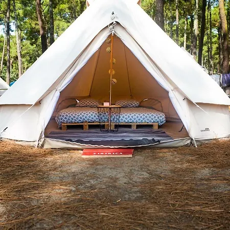 Camping The Spot Surfcamp Biscarrosse