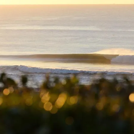 אתר קמפינג The Spot Surfcamp *