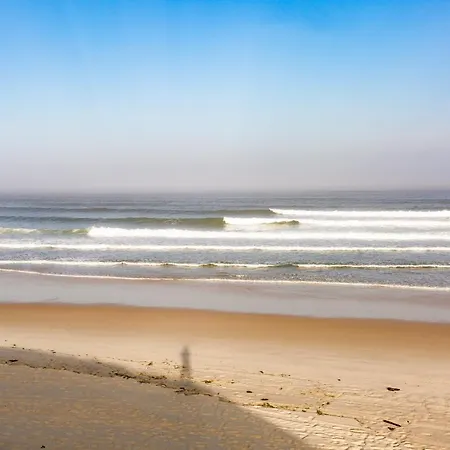 The Spot Surfcamp אתר קמפינג ביסקארוס