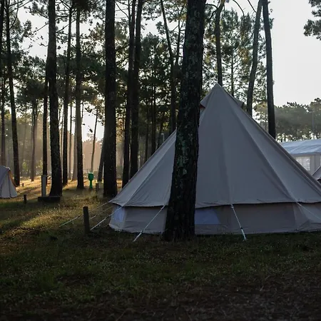 The Spot Surfcamp * ביסקארוס