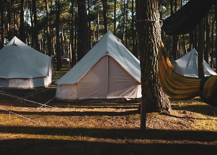 The Spot Surfcamp * Biscarrosse