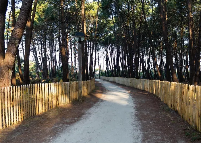 The Spot Surfcamp Biscarrosse